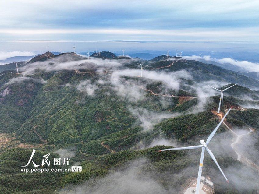 阴阳师